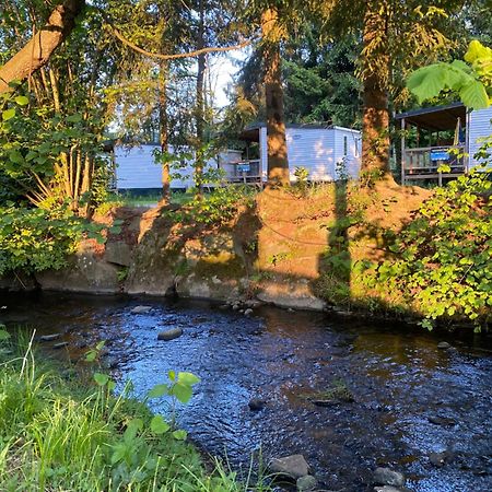 S-Chalet Camping Mit Comfort Im Schwarzwald Steinach  エクステリア 写真