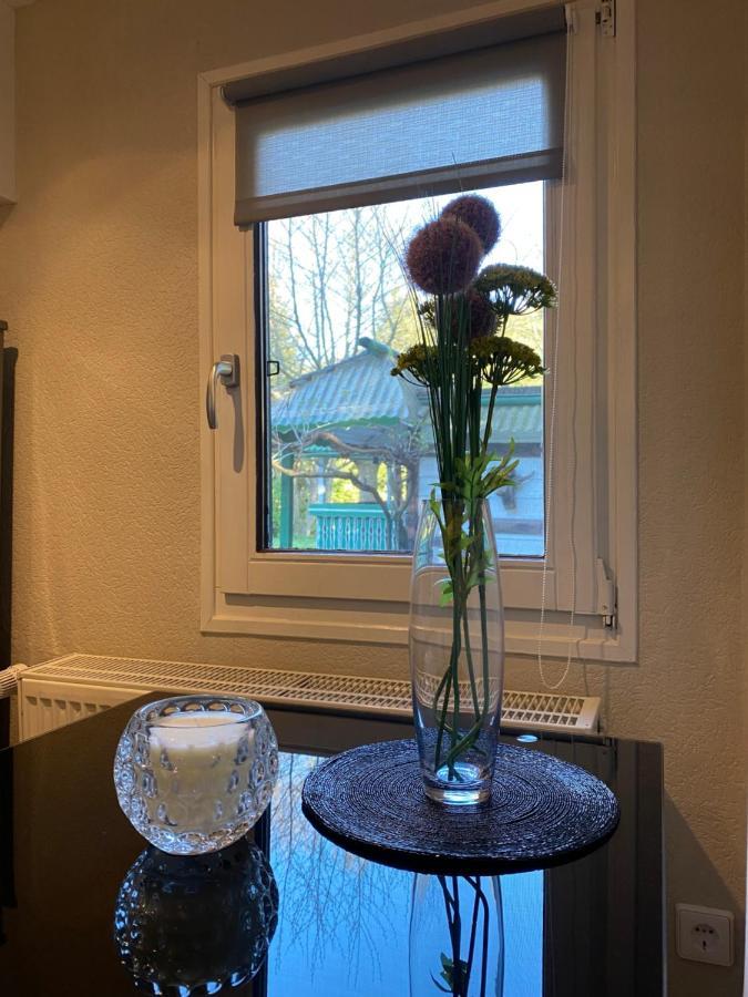 S-Chalet Camping Mit Comfort Im Schwarzwald Steinach  エクステリア 写真